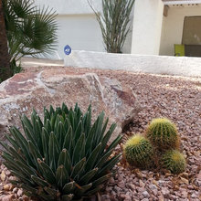 Arizona Garden