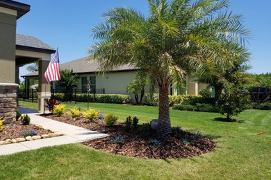 Inspiration for a tropical landscaping in Tampa.