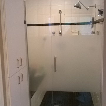 Glass Door and panel with frosted glass