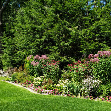 Design around existing trees