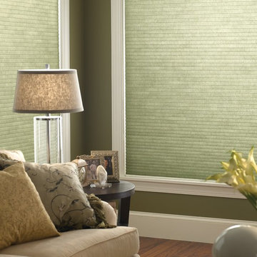 Cellular Shade | Modern Living Room | Green | Mod Furniture