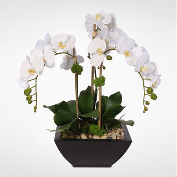 Real Touch Arrangement of White Phalaenopsis Orchid & Succulents in a Metal Pot