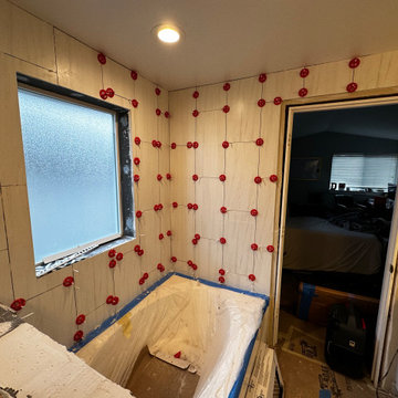 Master Bathroom Remodel