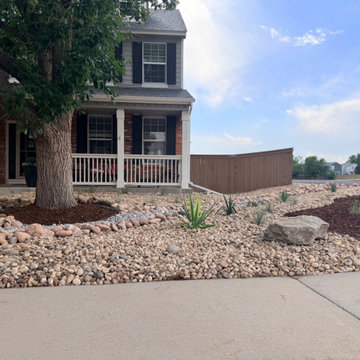 Xeriscape Transformation - Highlands Ranch, CO