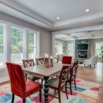 113 Patrick St. SW Vienna