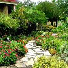 Exterior Ideas