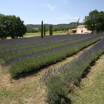 Contemporary garden in the south of France