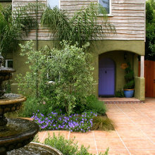Landscape Ideas