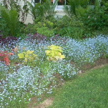 house garden
