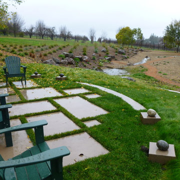 sebastopol rain garden & meadow