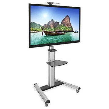 Mount-It! Mobile TV Stand for Flat Screen Televisions for 32"-70" Screens