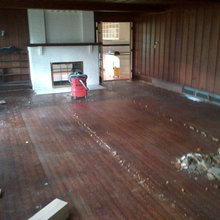 November 4 Carpet Gone