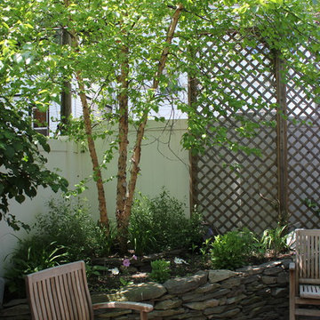 A Brooklyn Yard