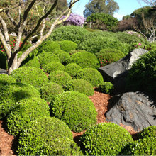 front slope