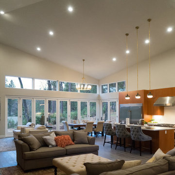 Sierra House #1