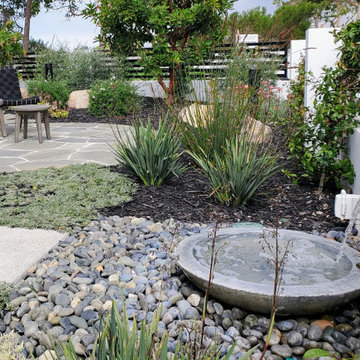 Encinitas Ranch / Horticulture Society Garden Tour