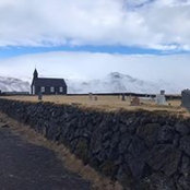 Susan Neubauer's photo