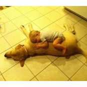 Karen Pellon's photo