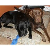 Susanne Godin-Racine's photo