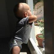 Mark Stein's photo