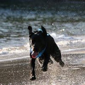 Bob Gawry's photo