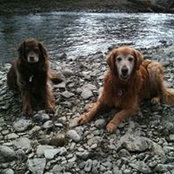 Tom Fargo's photo