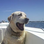 Lori Budney's photo