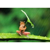 Matt Olinchak's photo