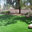 Future Yards of Las Vegas Inc.