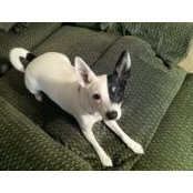 Terri Scheer's photo