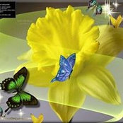 Karin Brumfield's photo