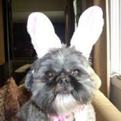 Janie Rice's photo