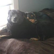 Greg Davis's photo