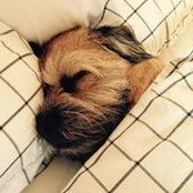 Leah Neilson's photo