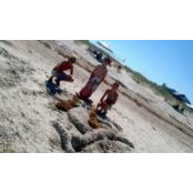 Logan Snyder's photo