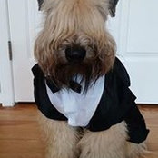 Allison Raith's photo