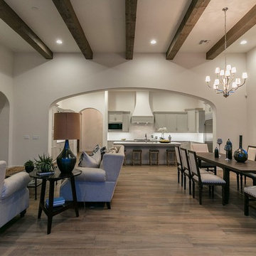Family Room/Kitchen