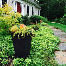 Gov landscaping