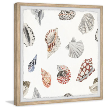 "Classic Seashells" Framed Painting Print, 24x24