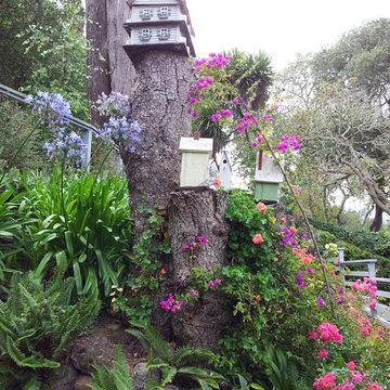 Landscape Design & Installation