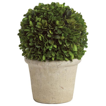 Elegant 12 in Ball Topiary in Pot Preserved Boxwood Greenery Faux Floral English