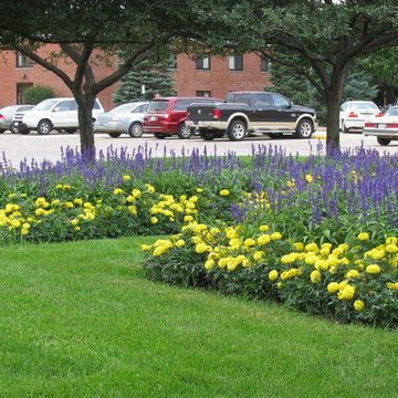 Lawn Maintenance
