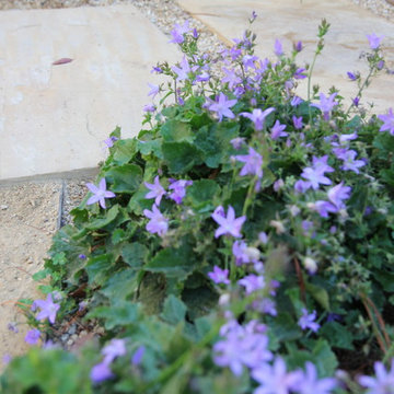 Mediterranean Edible
