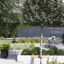 Crabtree Lane - Landscaping