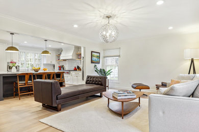 Living room - modern living room idea in New York