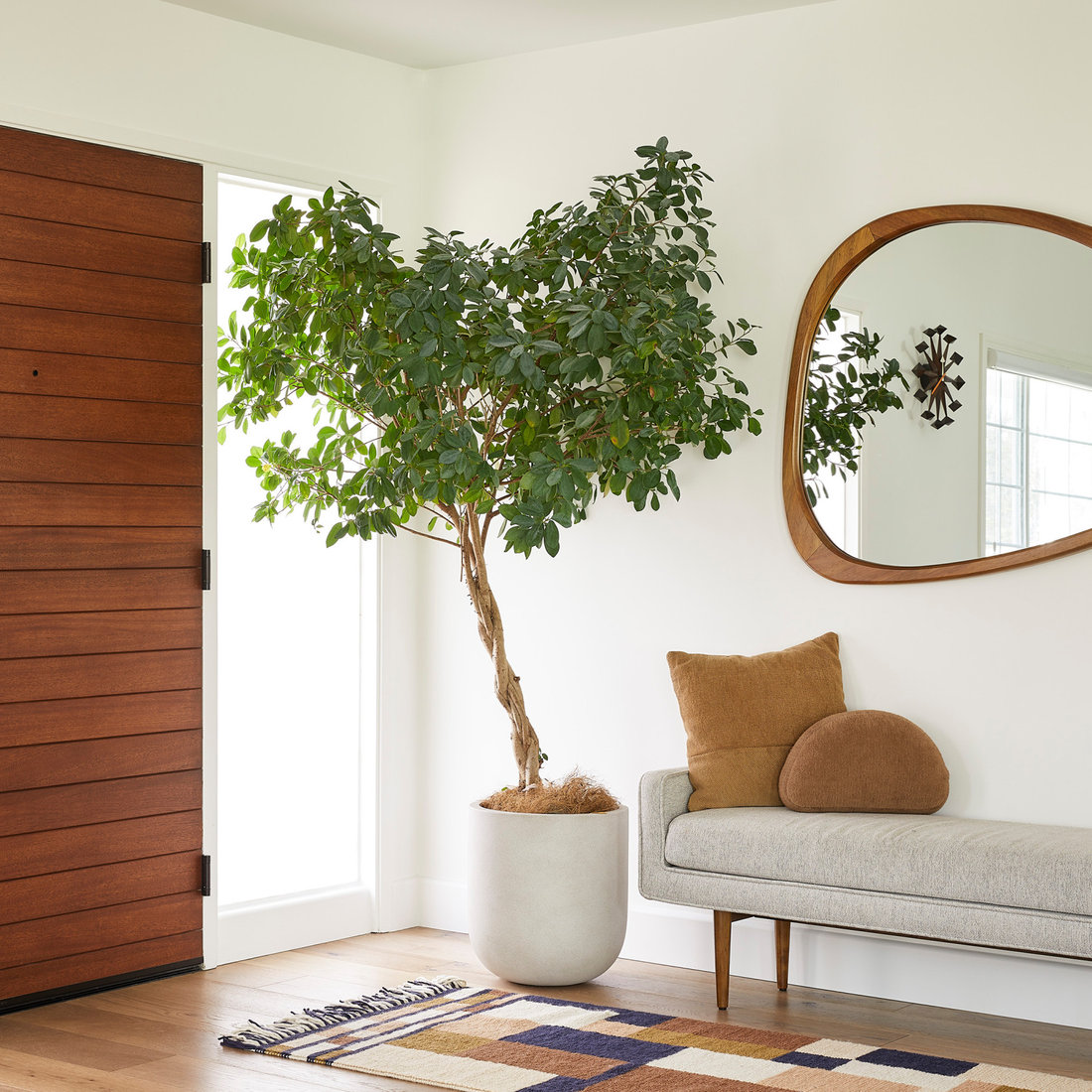 Campbell Modern