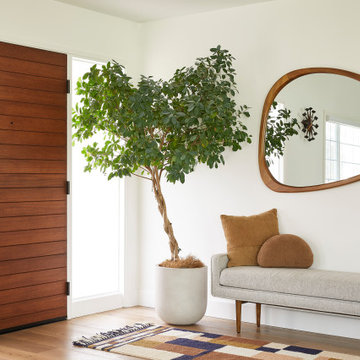 Campbell Modern
