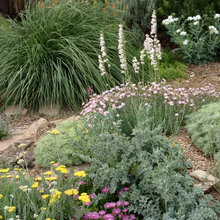 Terra Linda ideas