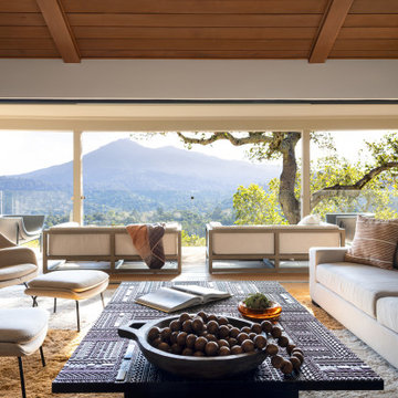Marin Renovation