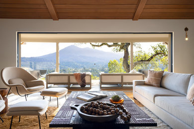 Inspiration for a contemporary living room remodel in San Francisco